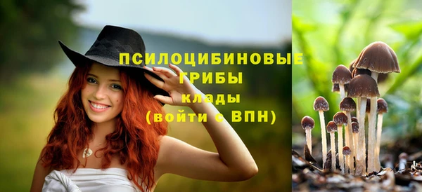 прущая мука Верея