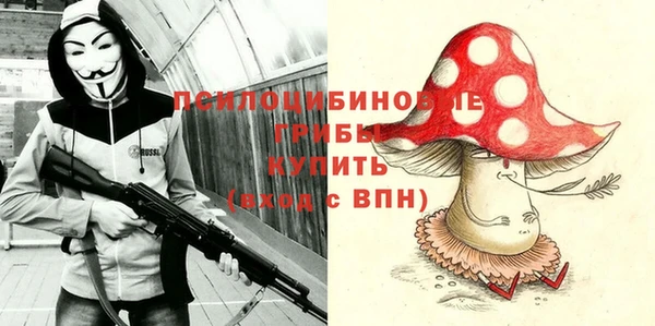 прущая мука Верея